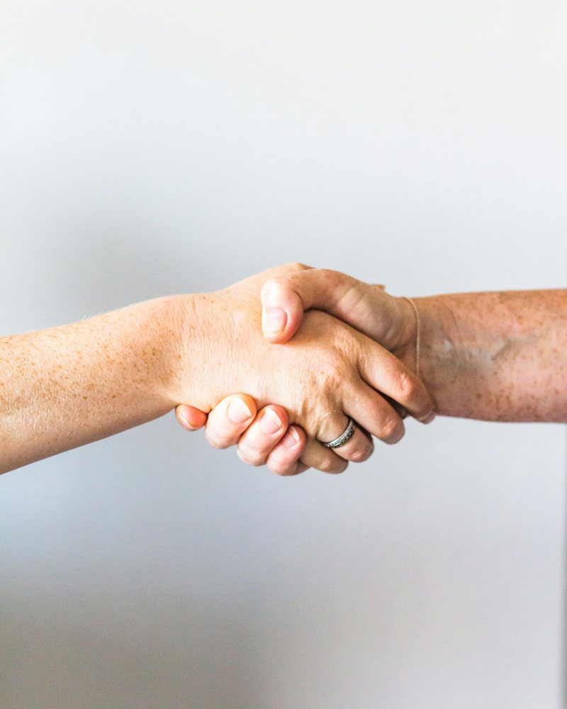 Two people shaking hands